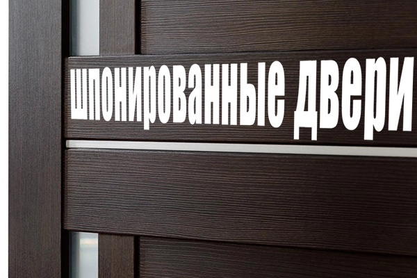 Все о межкомнатных дверях из натурального шпона