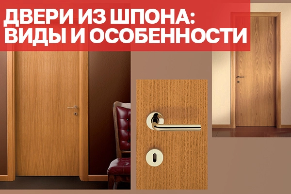 Виды шпонированных межкомнатных дверей и их особенности